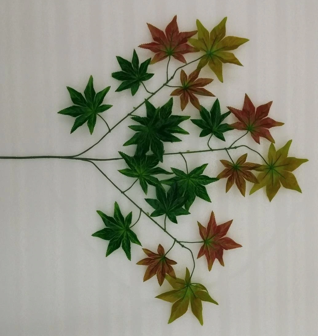 New Maple PU 6x3x12
